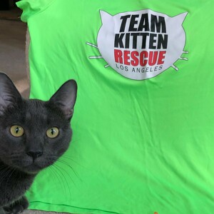 Fundraising Page: Kelly Nine